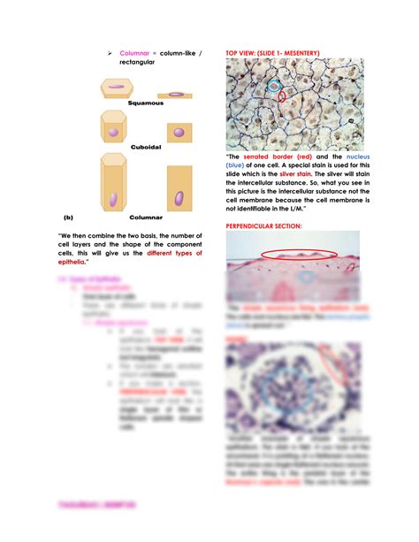 Basic Tissues 的图像结果