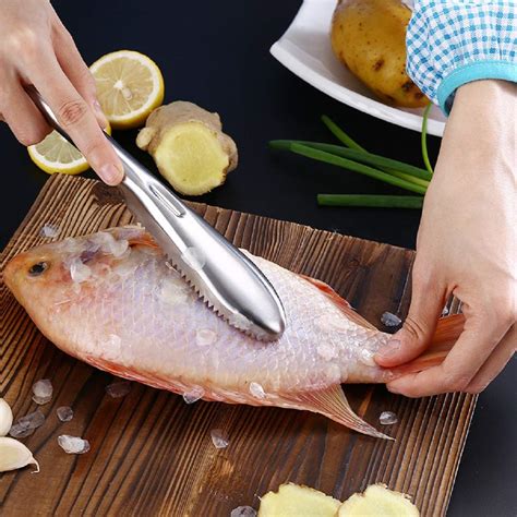 Buy Fish Scaler Brush Fish Scaler Remover with Stainless Steel Sawtooth ...