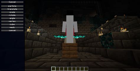 Image result for Java Minecraft Character Mods