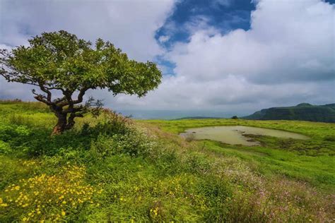 6 places in India one must visit before the monsoon ends | Times of ...