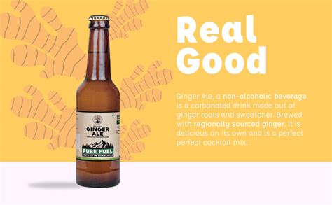 Peepal Farm Handcrafted Ginger Ale - (Pack of 2 x 330ml) | 100% Natural ...