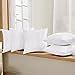 Buy Cloth Fusion Microfiber Cushion Filler, 16 x 16 Inch, White - (Set ...