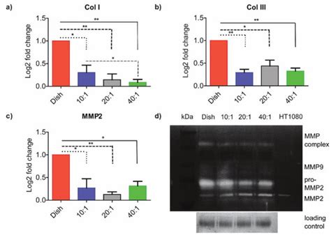 Substrate Stiffness Modulates TGF-β Activation and ECM-Associated Gene ...