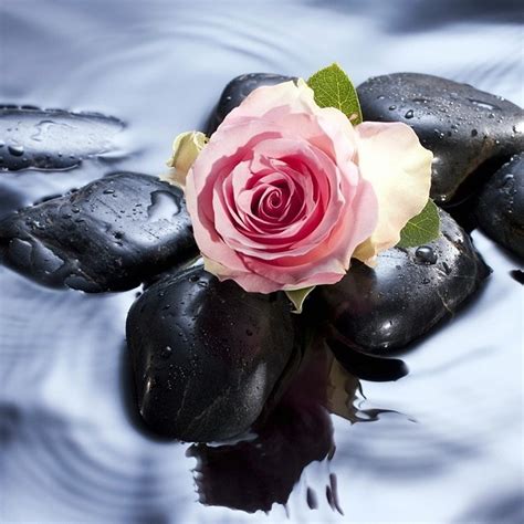 Image result for How Does Compound W Work