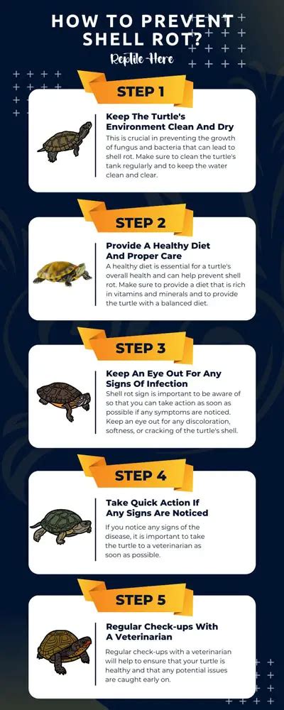 Image result for Unhealthy Turtle Shell