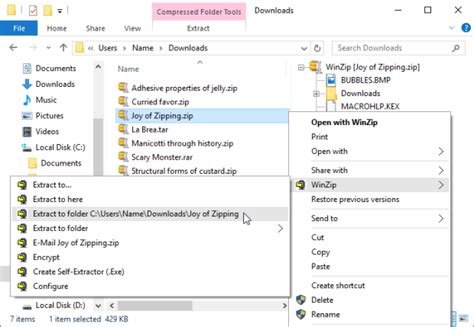 Image result for Extract Zip File WinZip