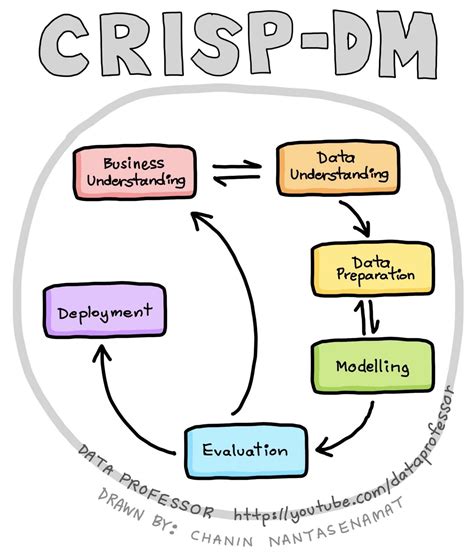Data Science Process 的图像结果