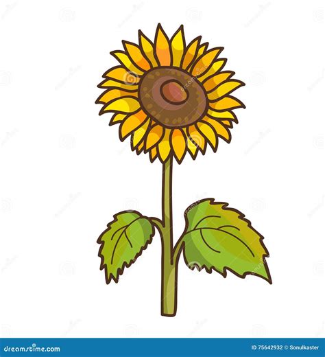 Sunflower Cartoon Floral Drawing. Vector Illustration Stock Vector ...
