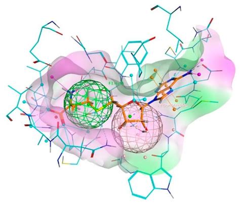 Identification of DNA Methyltransferase-1 Inhibitor for Breast Cancer ...