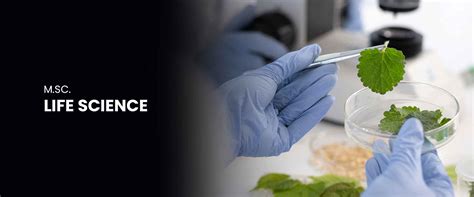 M.Sc in Life Science - Syllabus, Fees, Admission and Eligibility ...