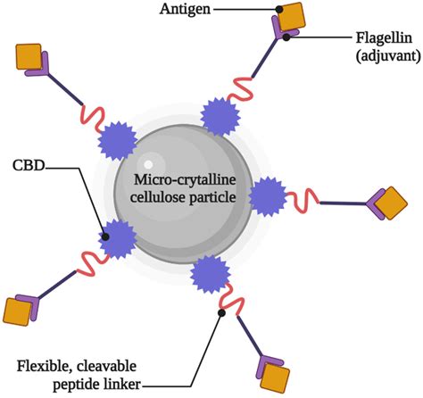 Natural Polymeric Composites Derived from Animals, Plants, and Microbes ...