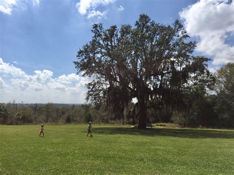 Image result for Child Unsupervised