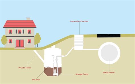 Sewage Pump For Septic System at Joyce Campbell blog