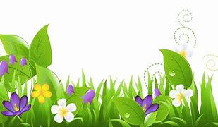 Image result for Flower Bunny Drawing PNG