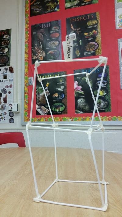 Image result for Forces and Structures Grade 5