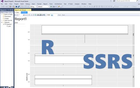 SSRS 2012 Tutorial 的图像结果