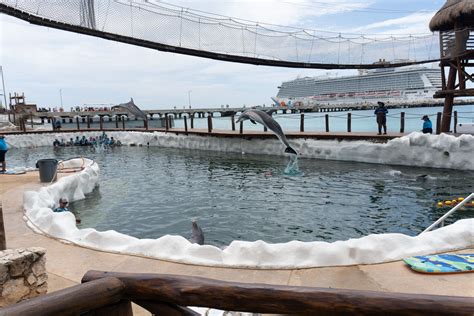 Aztec Vs. Mayans: Basic Differences To Know Before Visiting Ruins