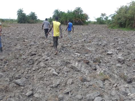 Shine FM - Ryeny Ba Acer (Shine Like A Star)