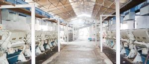 Profile of Kadi, History and Geography of Kadi, Facts About Kadi