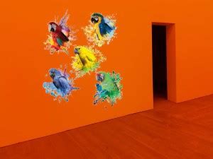 KAMYA HOME DÉCOR 50 cm COLORFUL PERROT Self Adhesive Sticker Price in ...