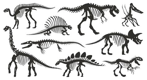 Cartoon dino skeleton silhouettes ancient dinosaur fossil bones ...