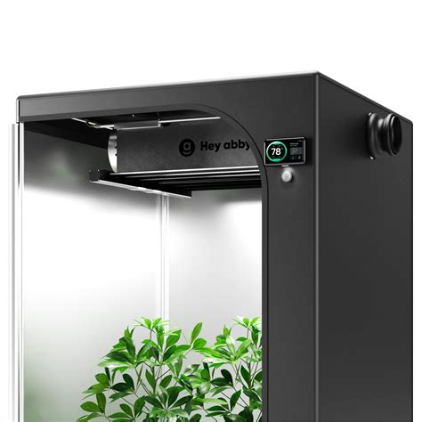 All About Weed Measurements: Weight Chart, Price and More – Hey abby