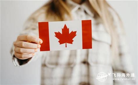移民加拿大需要什么条件?带你详细了解-飞际海外通