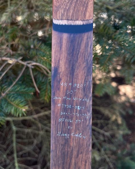 Java Man Bows 的图像结果