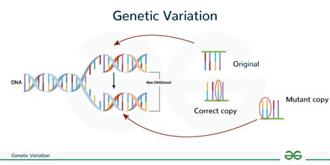 Image result for Variation Definition