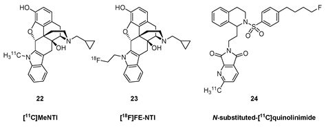 A Survey of Molecular Imaging of Opioid Receptors