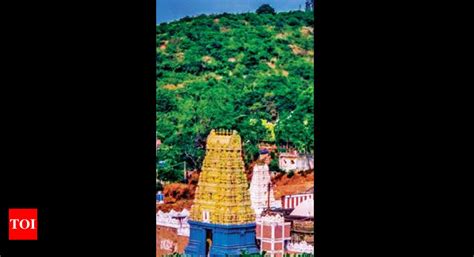 No Chandanotsavam at Simhachalam, after 100 years | Visakhapatnam News ...