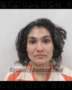 Recent Booking / Mugshot for BRITTINY GONZALES in McCulloch County, Texas