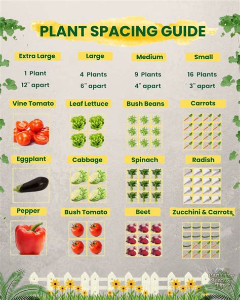 Space Between Plants 的图像结果