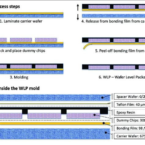 Image result for WLP Process Introduction