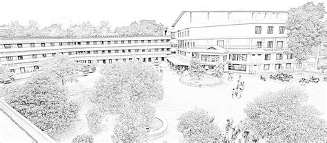 About Us | Sir Syed Institute