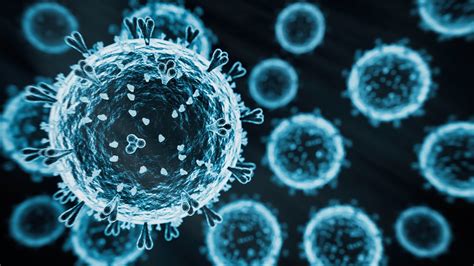 Updates on the bird flu outbreak, now linked to raw milk products in ...