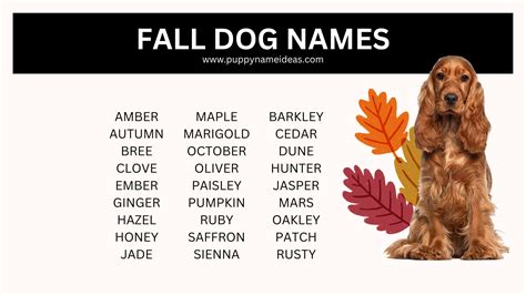 175+ Fall Dog Names - Puppy Name Ideas