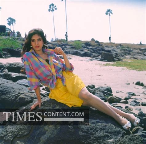 Meenakshi Seshadri Bollywood Photo Meenakshi Seshadri,