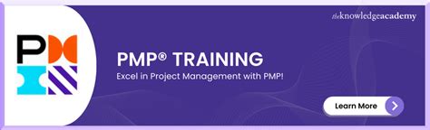 PgMP Process 的图像结果