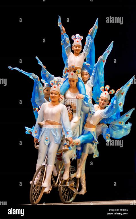 Cycling Acrobat 的图像结果