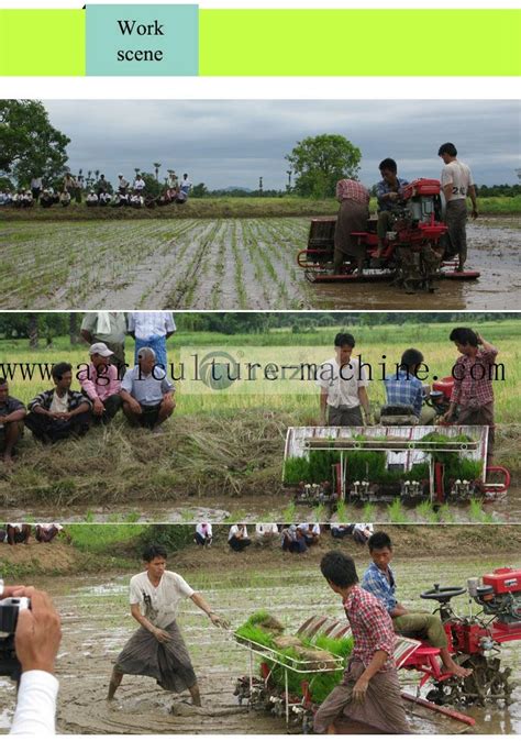Image result for Rice Field Use Transplanter Machine