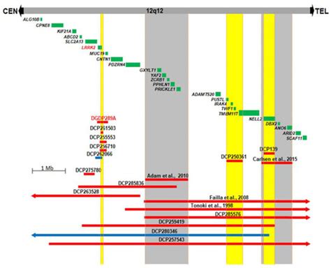 JCM | Special Issue : Genetics of Autism Spectrum Disorders