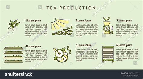 Image result for How to Process Tea