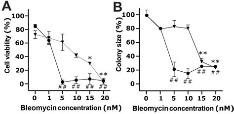 The Evidence of the Bystander Effect after Bleomycin Electrotransfer ...