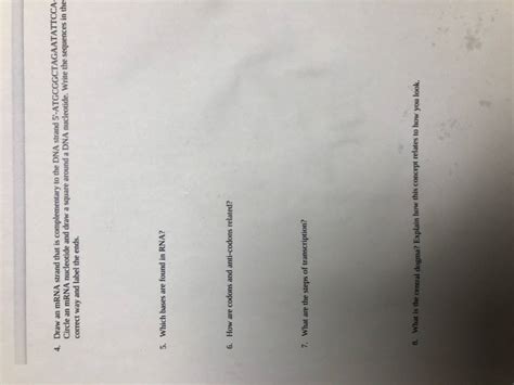 Image result for Complementary mRNA Strand