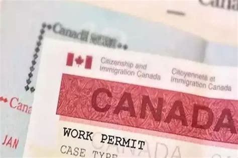 加晓移民公司 | 加拿大移民局认证的温哥华移民中介和留学中介公司 | 加拿大持牌移民顾问