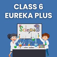 Class 6 revision notes - Best Class 6 Courses - All Subjects