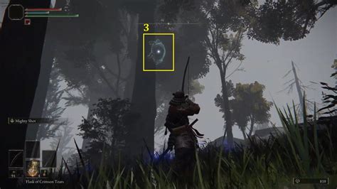 Testu's Rise: Seek Three Wise Beasts Locations Puzzle | Elden Ring ...