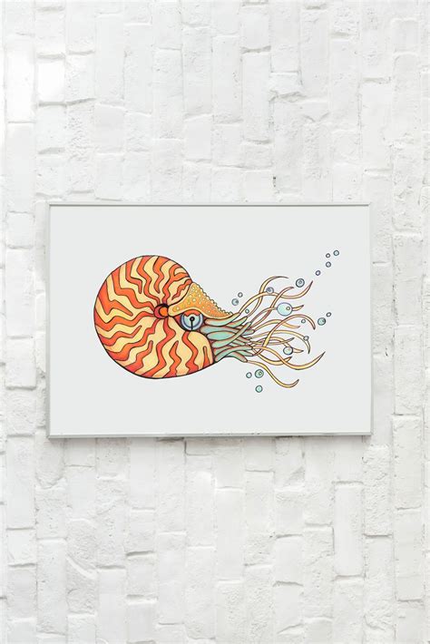 Nautilus Sea Animal Wildlife Giclée Artist Print, Archival Museum ...
