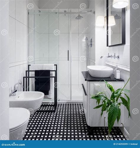 Elegant Black and White Bathroom Interior Stock Image - Image of bidet ...